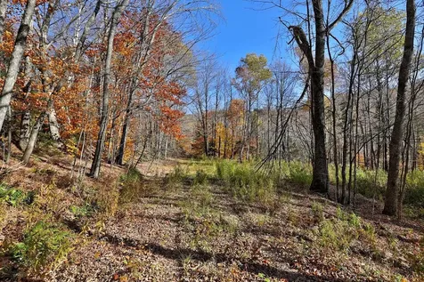 Lot 10 South Hill Road Stockbridge VT 05772