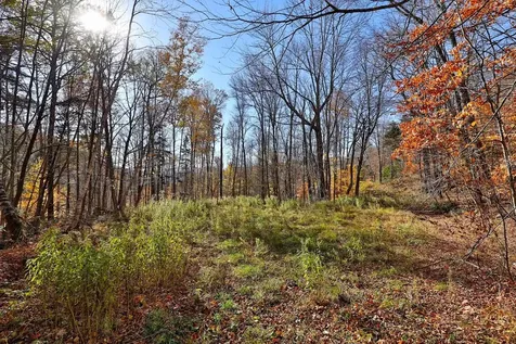 Lot 10 South Hill Road Stockbridge VT 05772