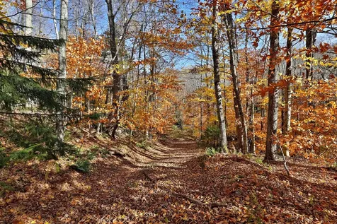 Lot 10 South Hill Road Stockbridge VT 05772