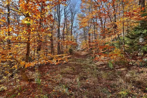 Lot 10 South Hill Road Stockbridge VT 05772