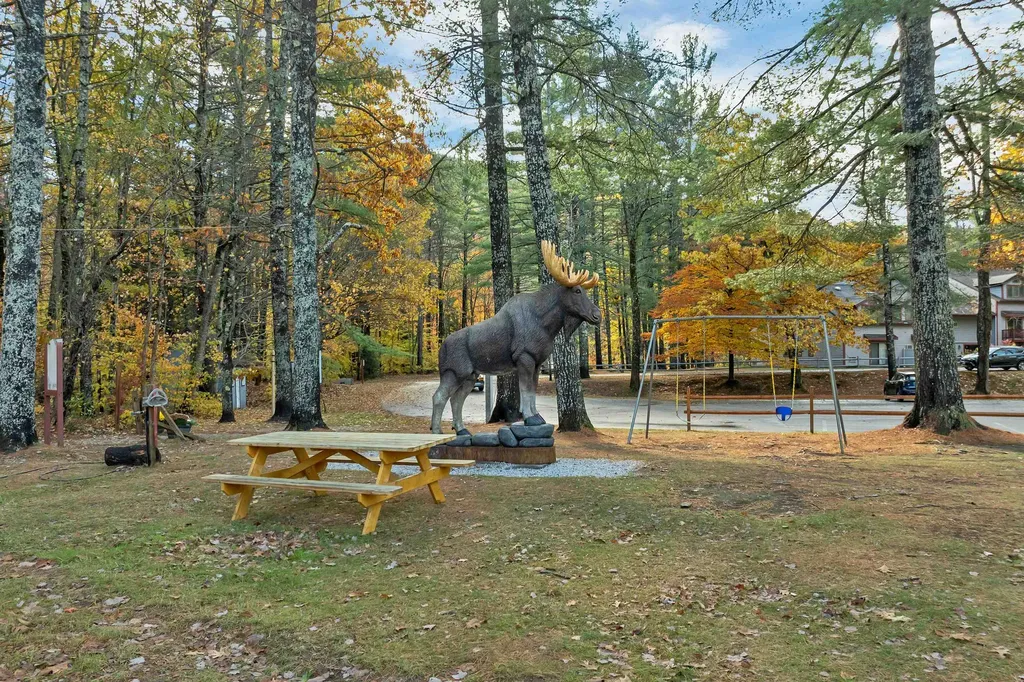 6 River Run Drive Bartlett NH 03812