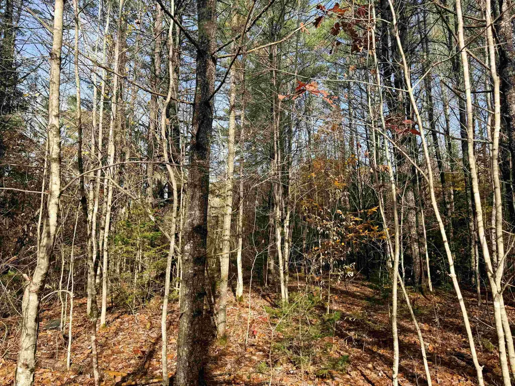 00 Walker Pit Road Concord VT 05824