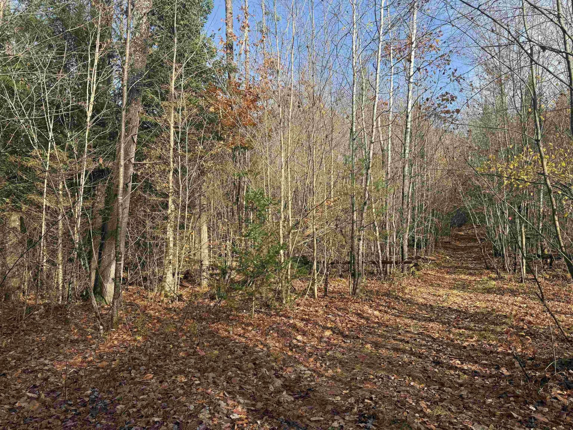 00 Walker Pit Road Concord VT 05824