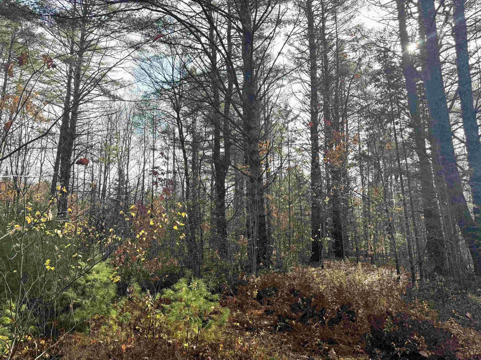 00 Walker Pit Road Concord VT 05824