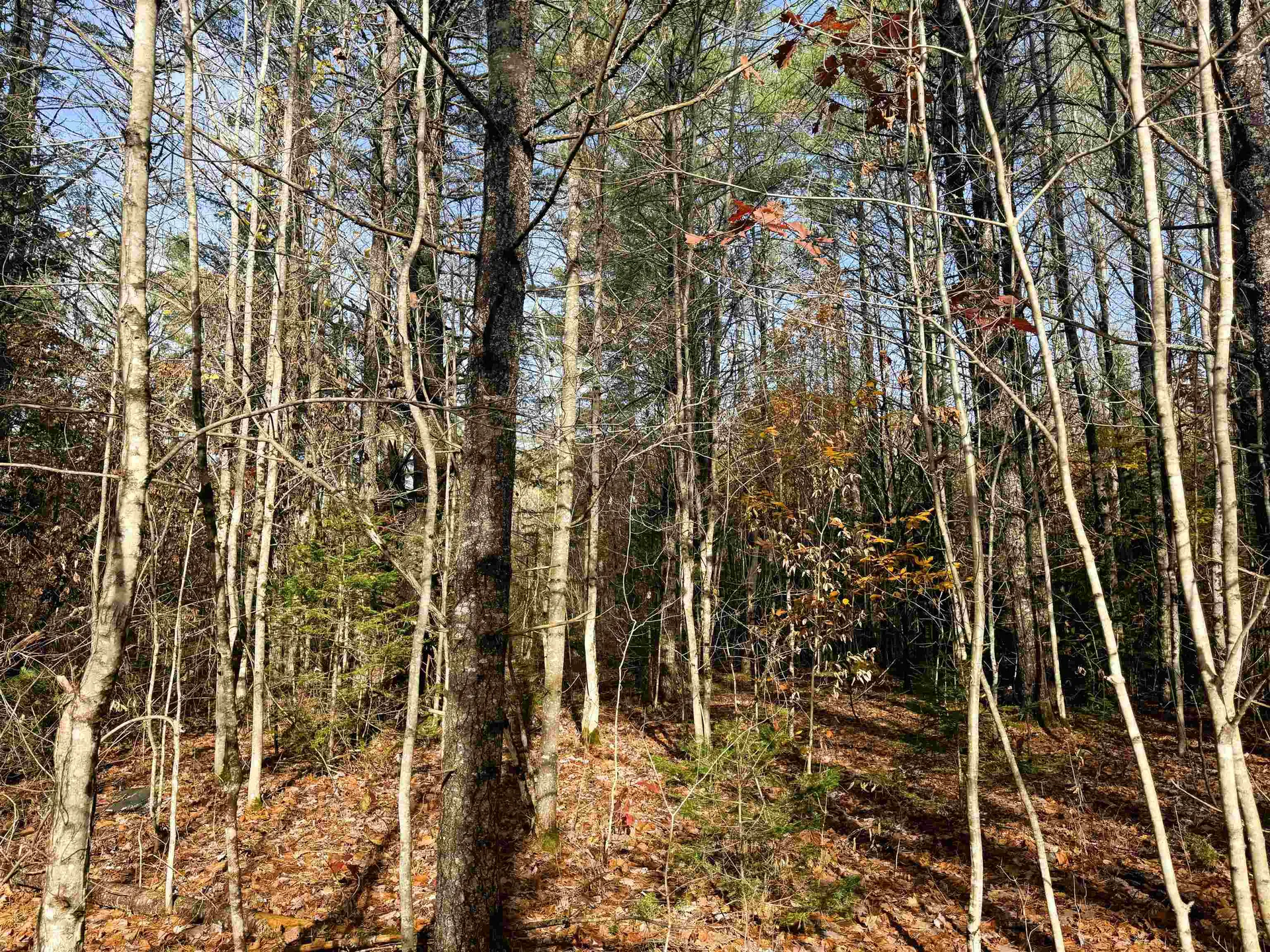 00 Walker Pit Road Concord VT 05824