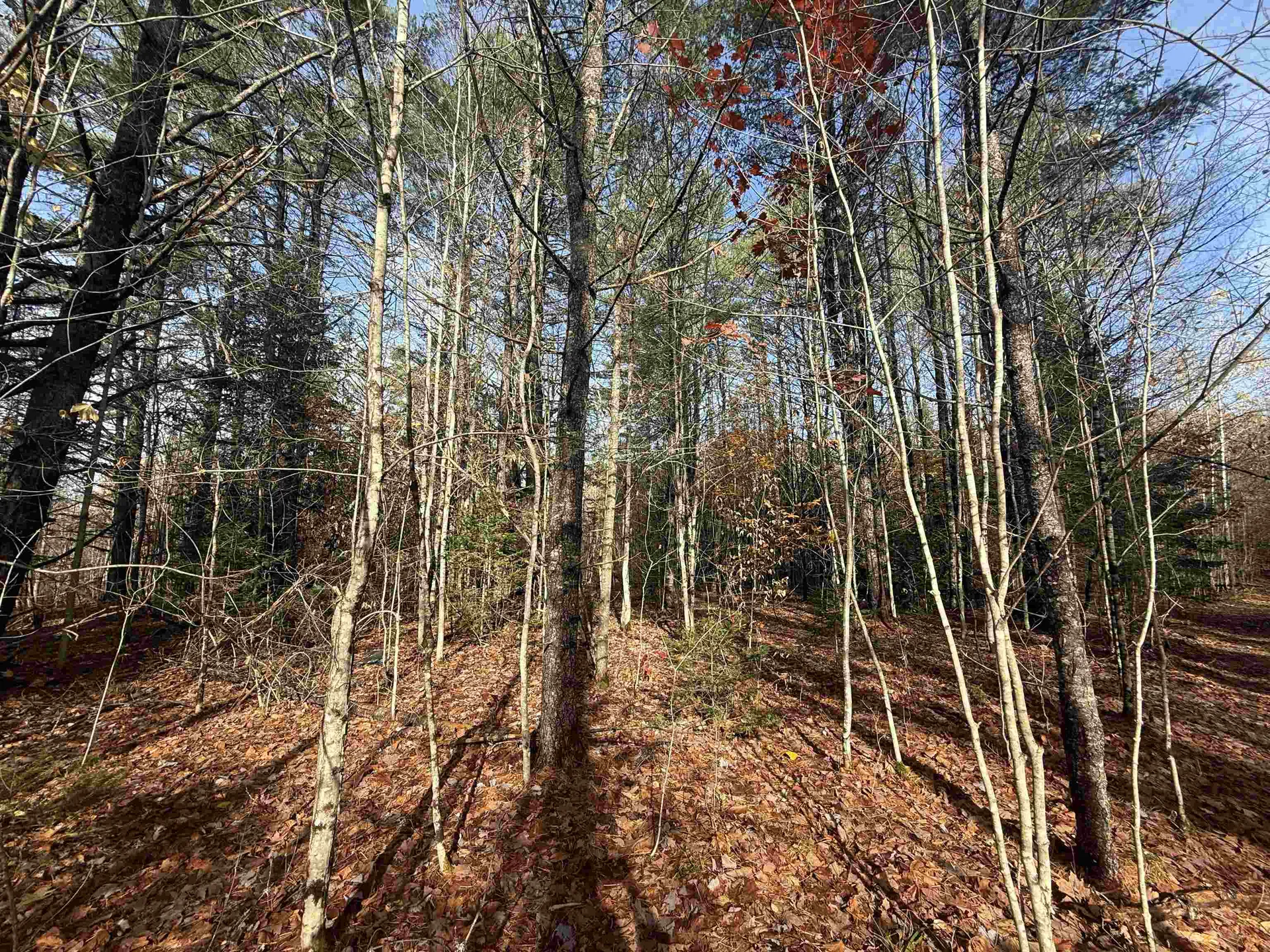 00 Walker Pit Road Concord VT 05824