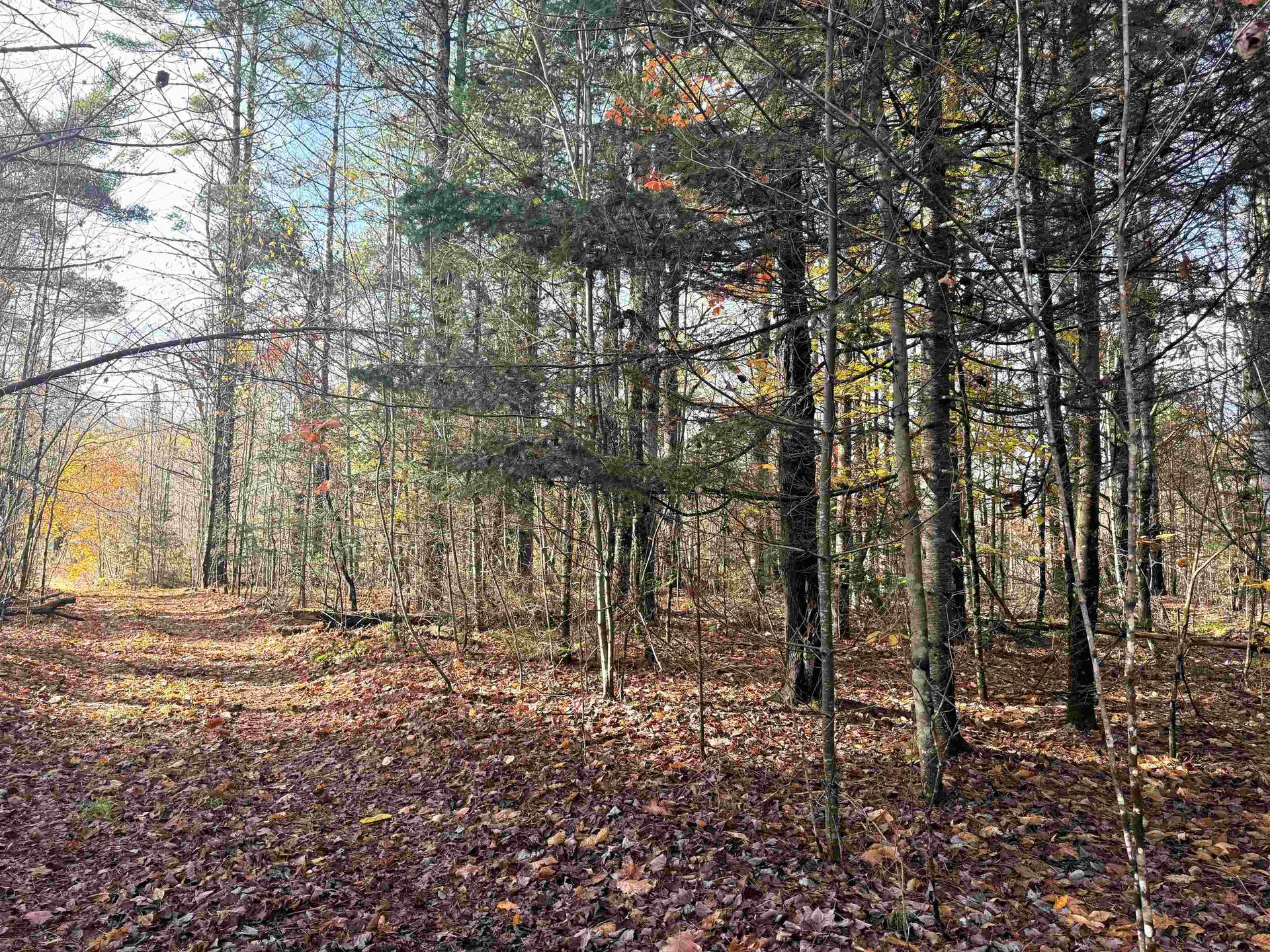 00 Walker Pit Road Concord VT 05824