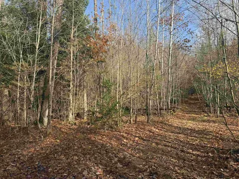 00 Walker Pit Road Concord VT 05824