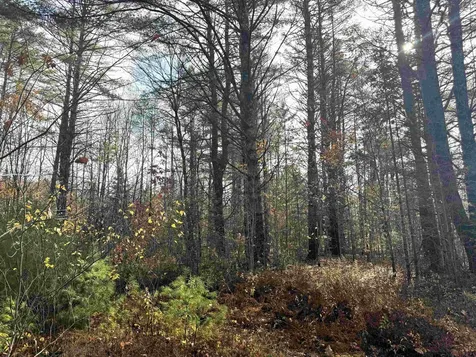 00 Walker Pit Road Concord VT 05824