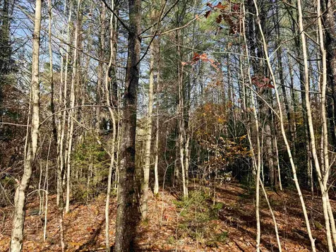 00 Walker Pit Road Concord VT 05824