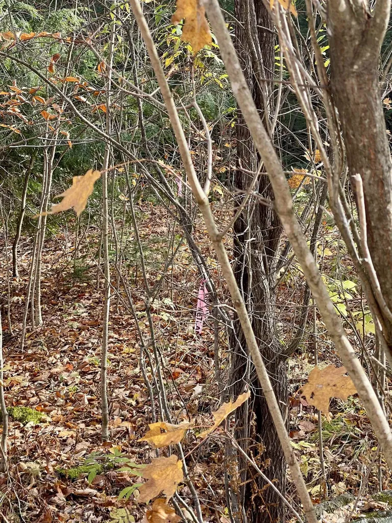 0 Foothills Drive Jay VT 05859