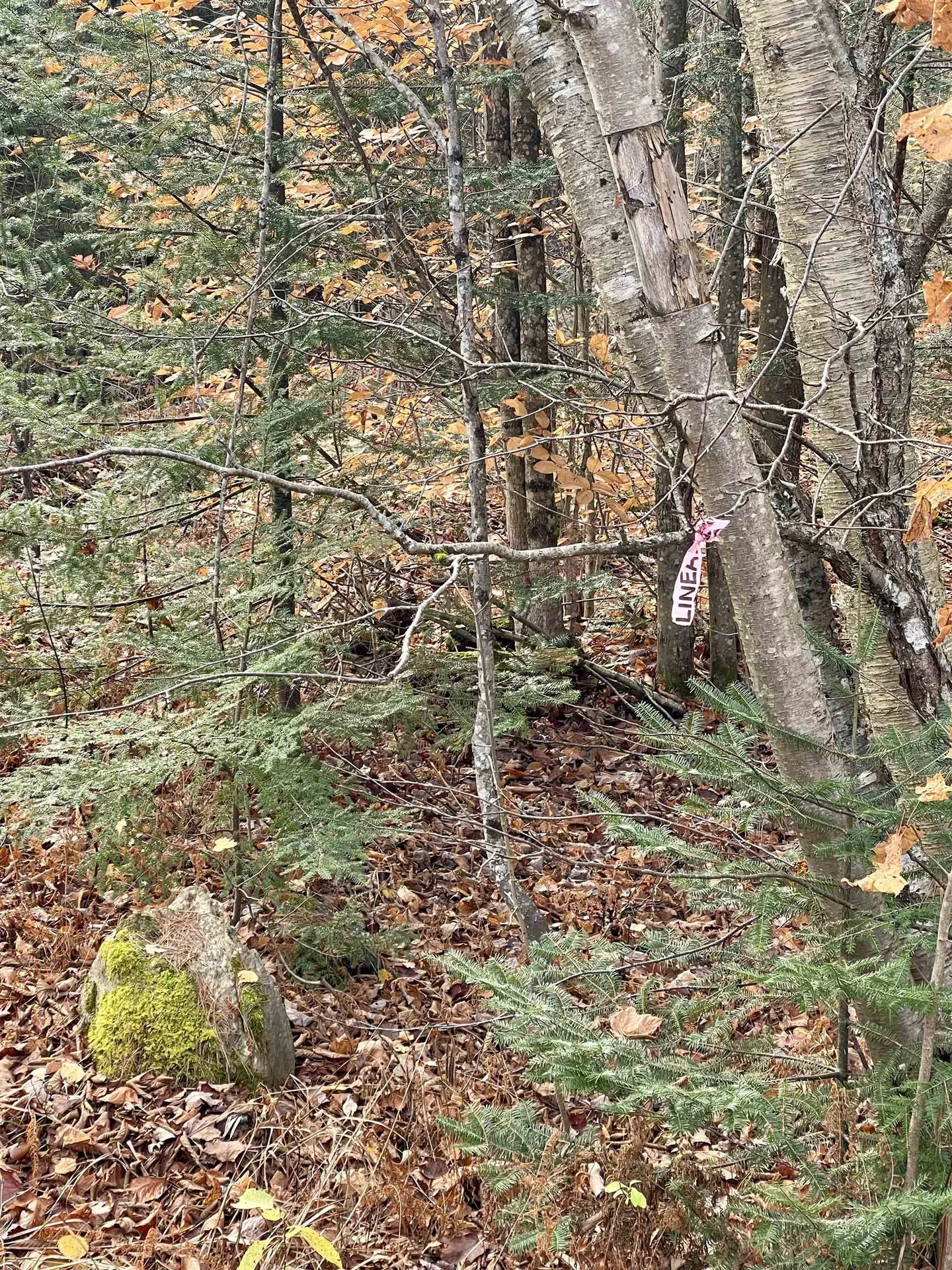 0 Foothills Drive Jay VT 05859