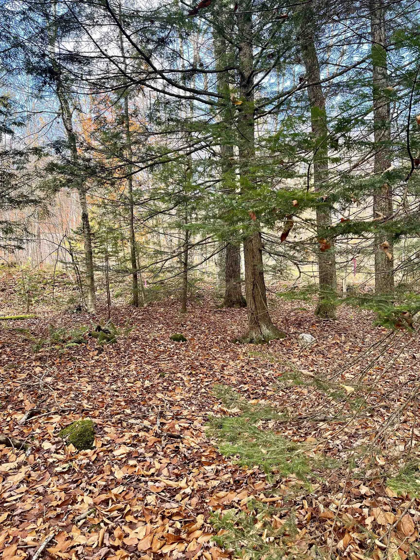 0 Foothills Drive Jay VT 05859