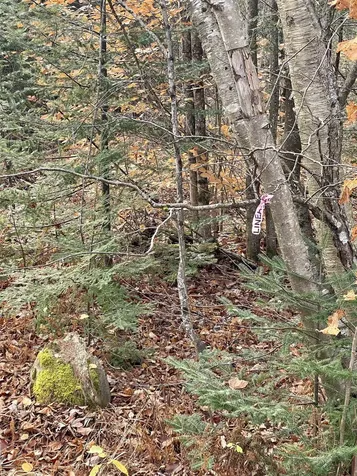 0 Foothills Drive Jay VT 05859