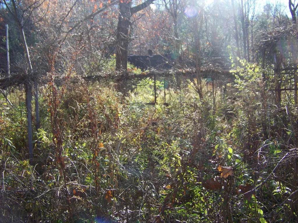 24 Gap Road Goshen VT 05733