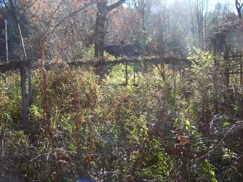 24 Gap Road Goshen VT 05733