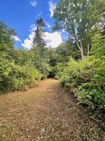 2 Highland Avenue Woodstock VT 05091