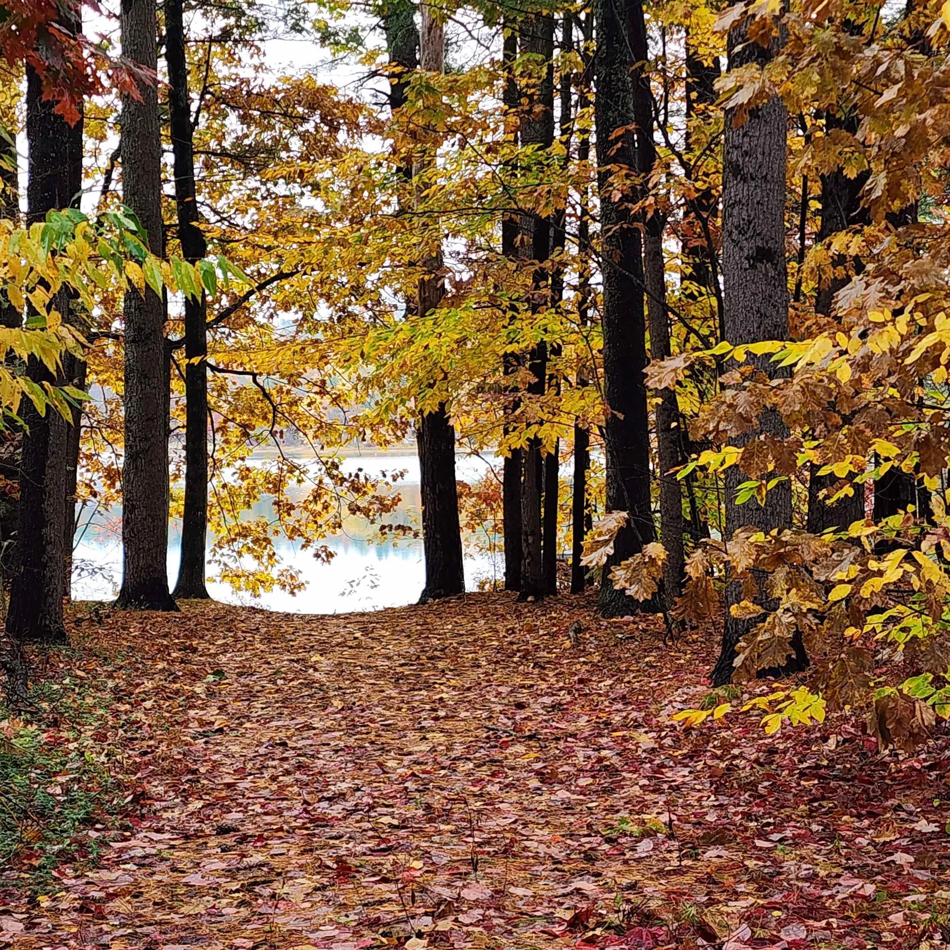 14 Emerald Lane Tilton NH 03276