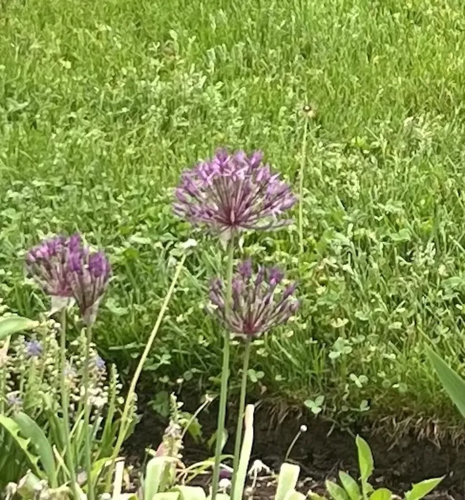 13 Westridge Drive Peterborough NH 03458