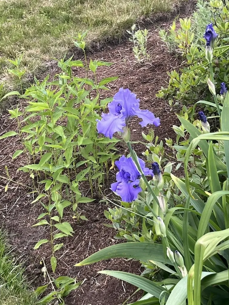 13 Westridge Drive Peterborough NH 03458