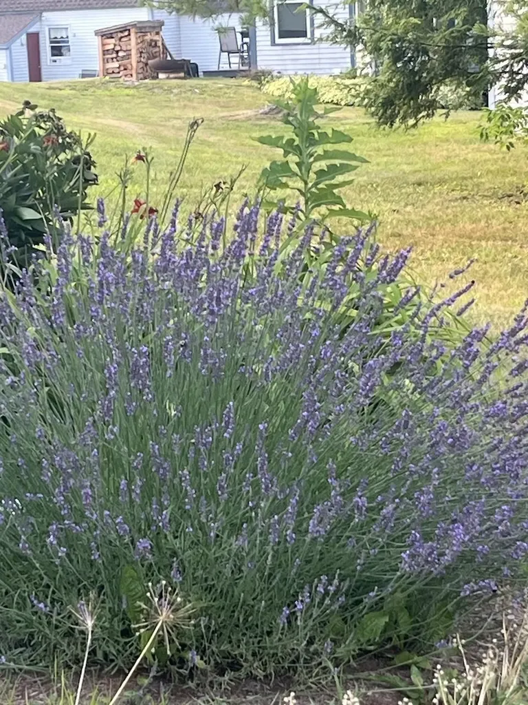 13 Westridge Drive Peterborough NH 03458