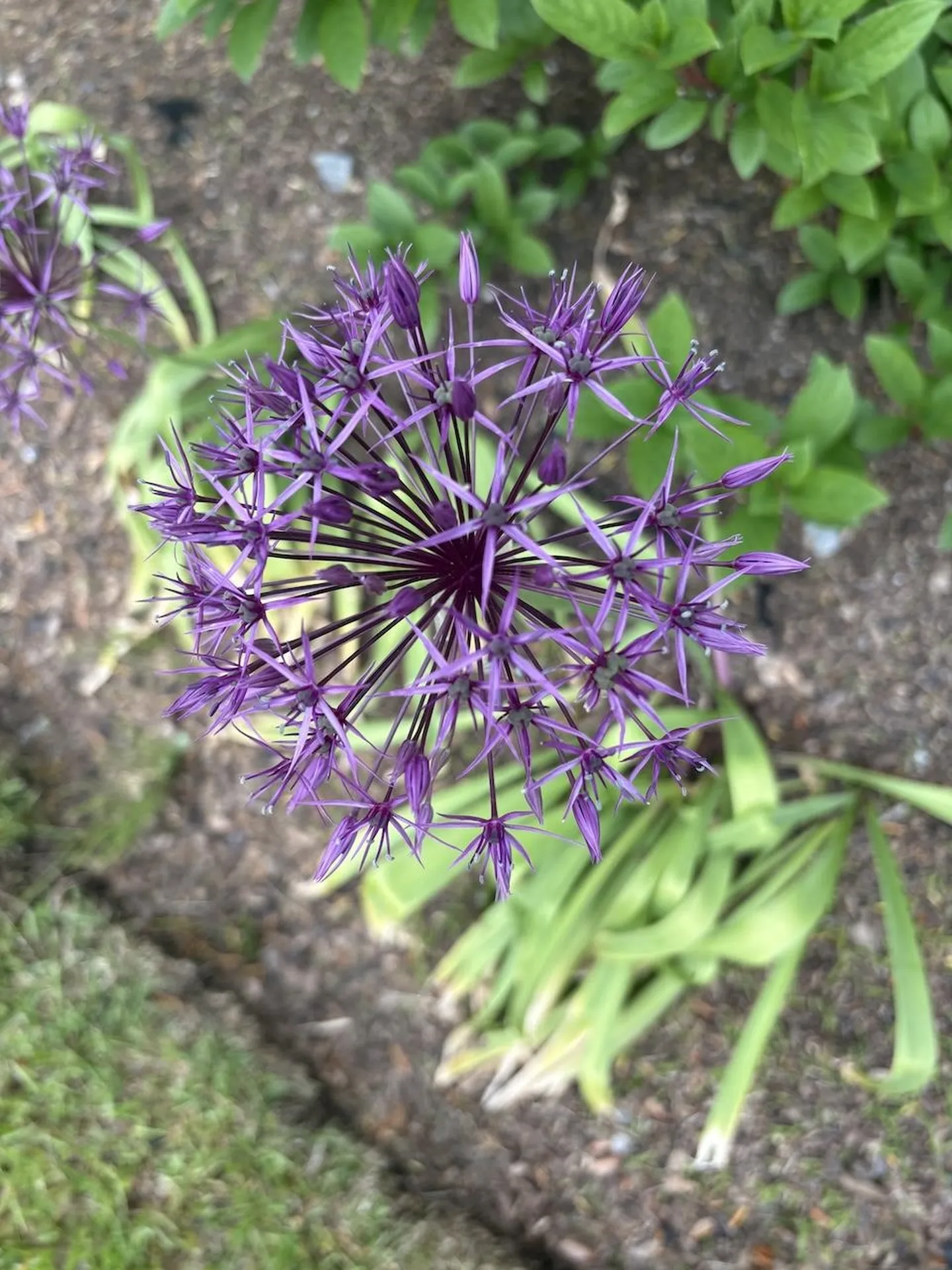 13 Westridge Drive Peterborough NH 03458