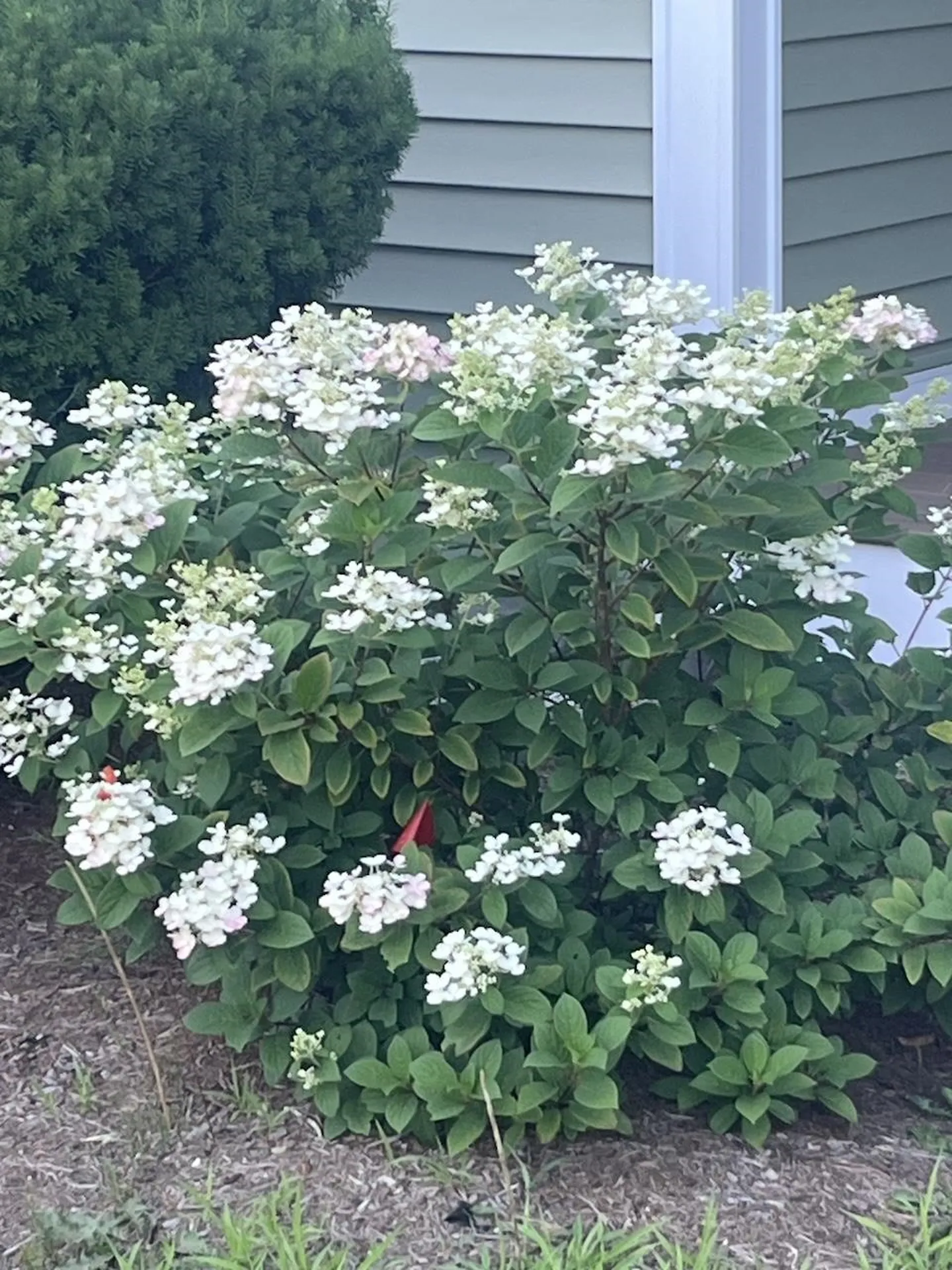 13 Westridge Drive Peterborough NH 03458