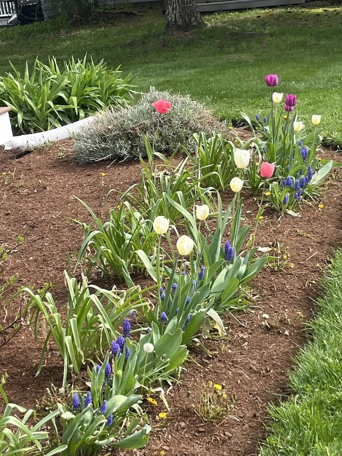 13 Westridge Drive Peterborough NH 03458