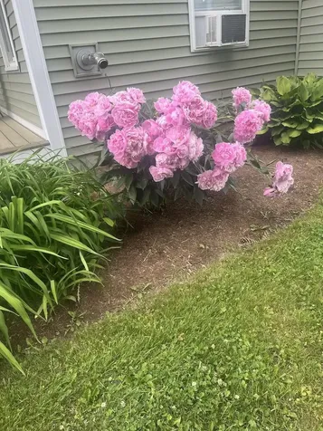 13 Westridge Drive Peterborough NH 03458