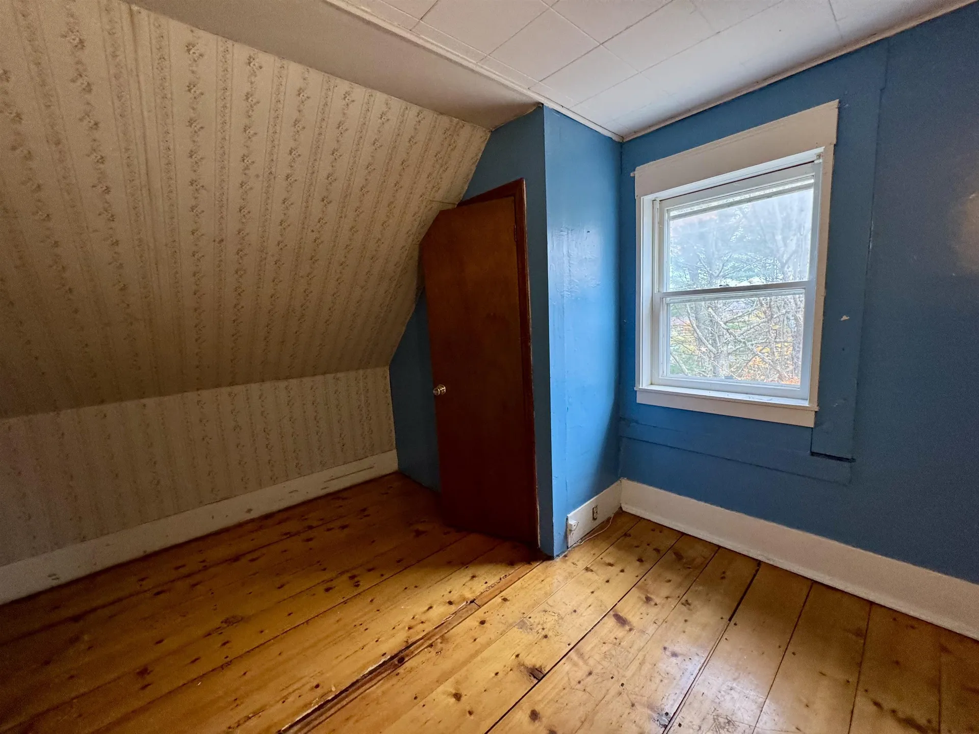 162 Town Forest Road Barnet VT 05821