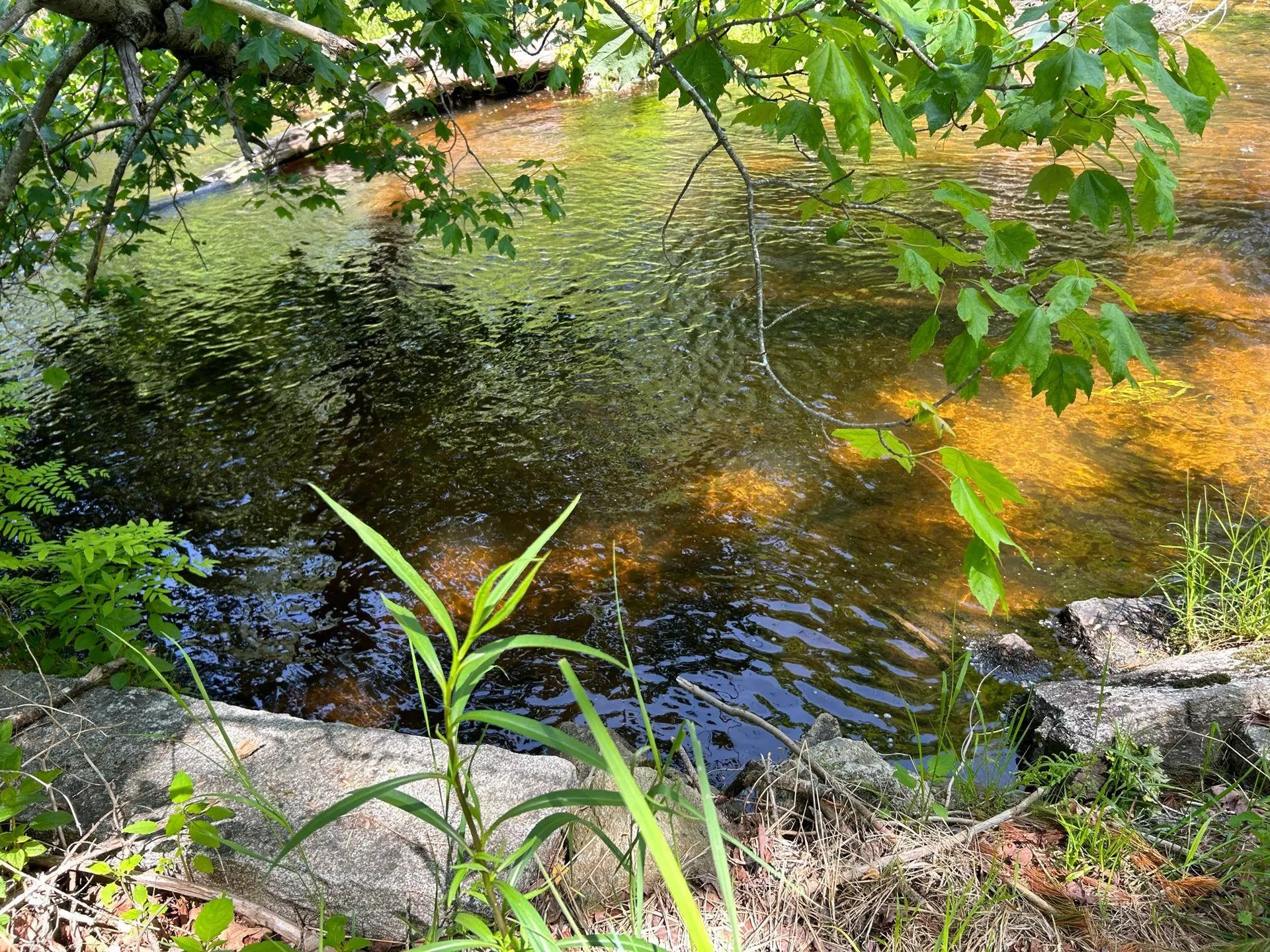 68 Granite Road Effingham NH 03882