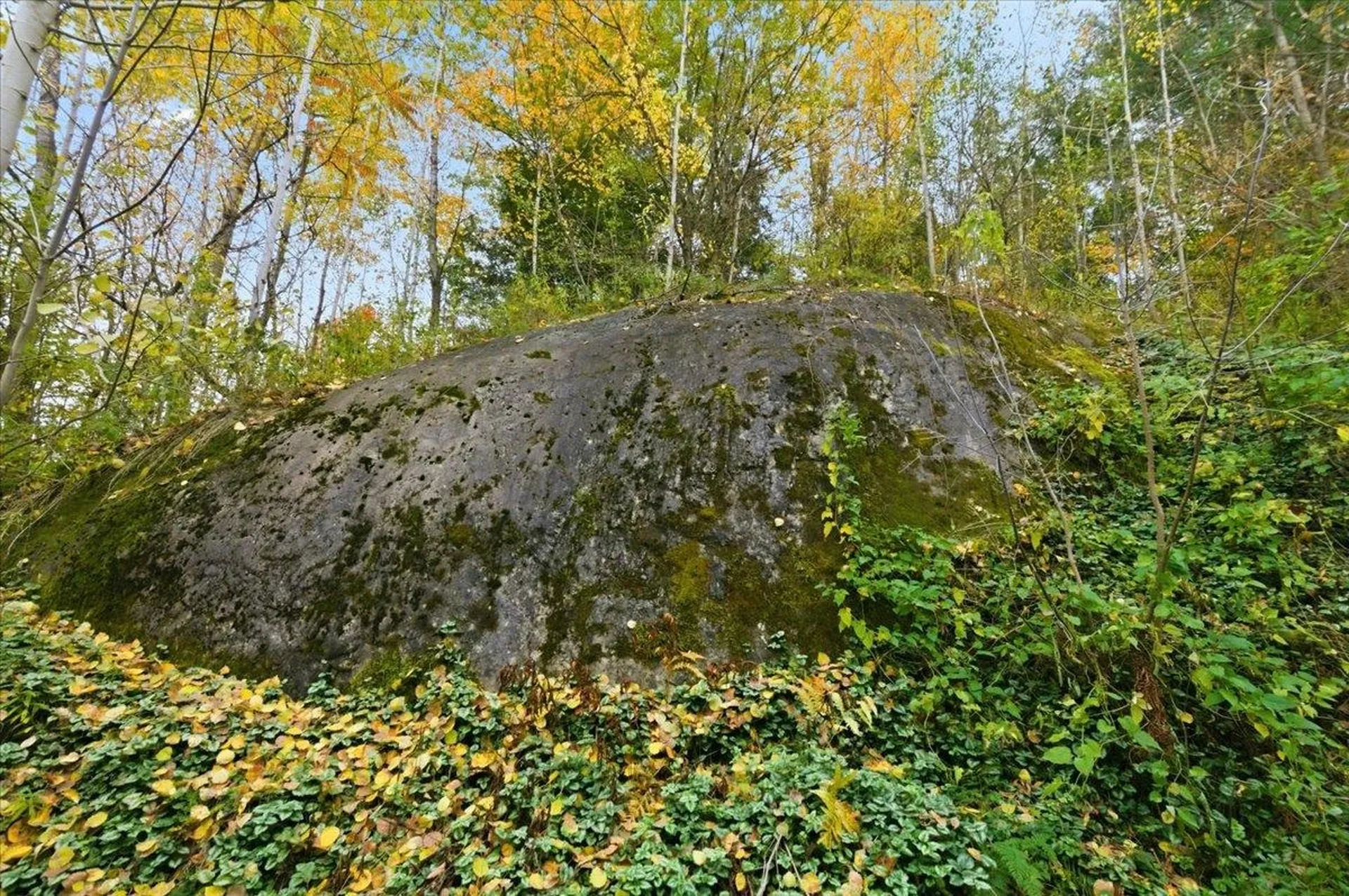 56 Temple Street Burlington VT 05401