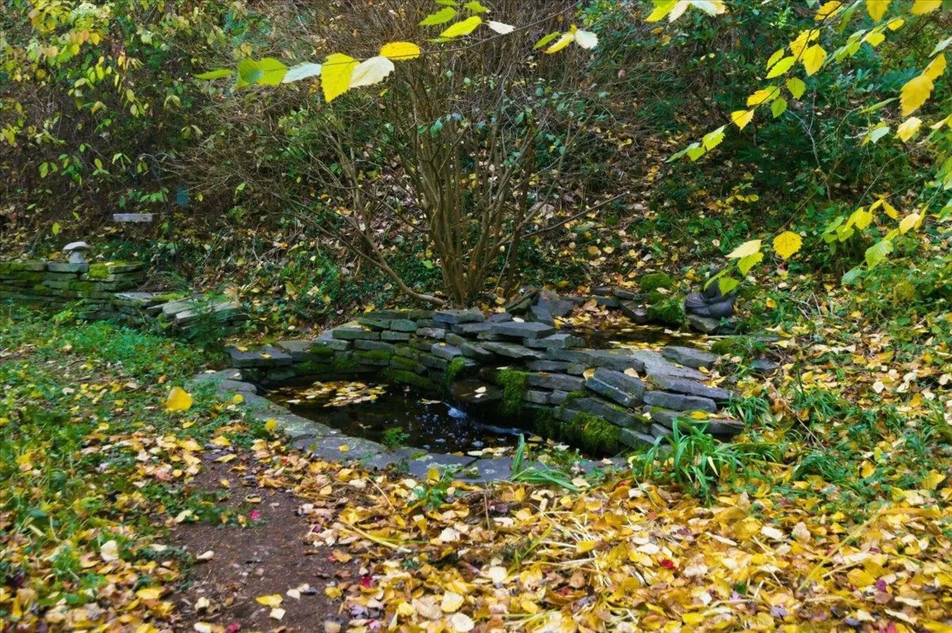 56 Temple Street Burlington VT 05401