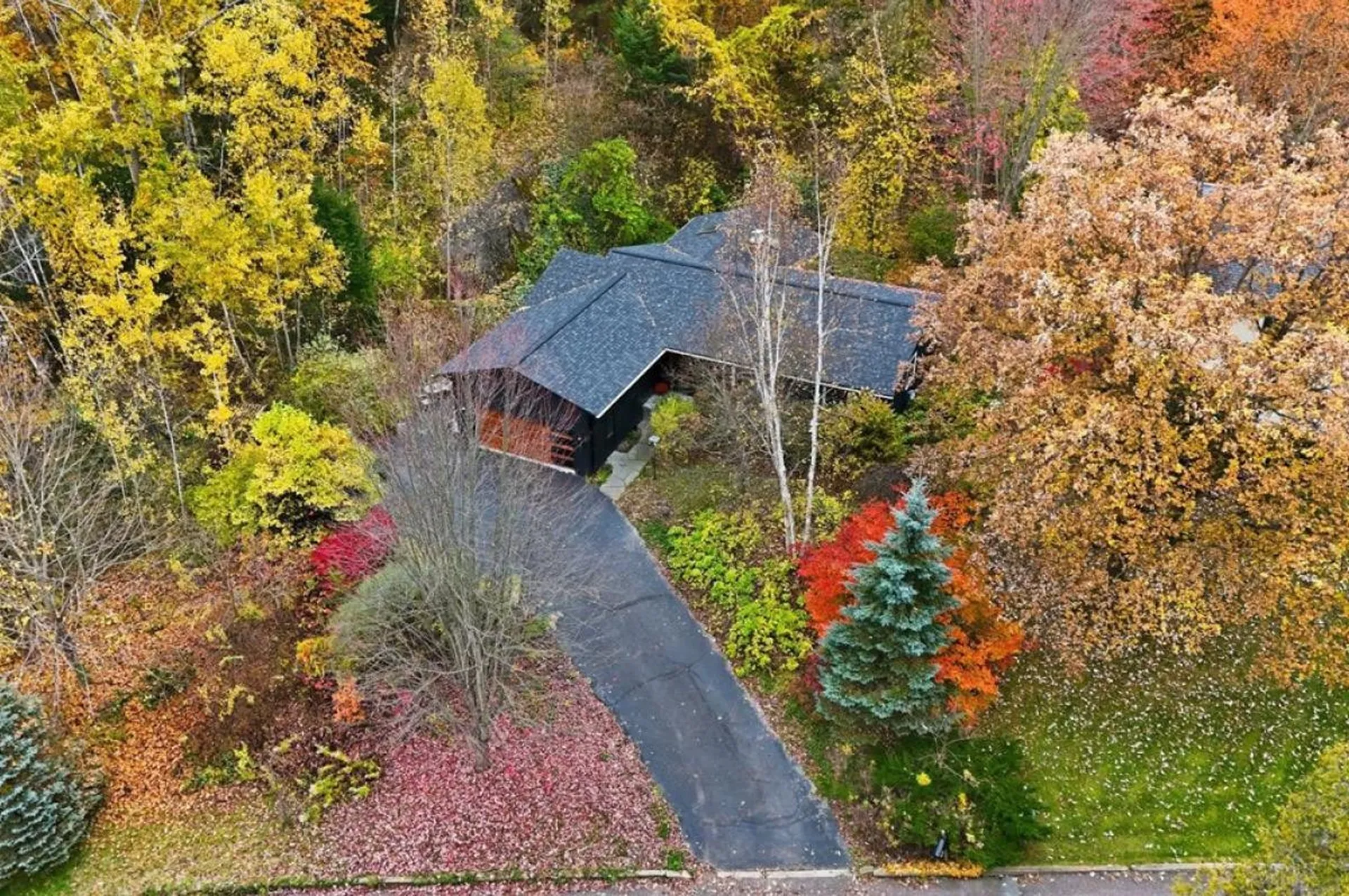 56 Temple Street Burlington VT 05401