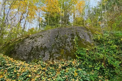 56 Temple Street Burlington VT 05401