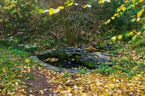 56 Temple Street Burlington VT 05401