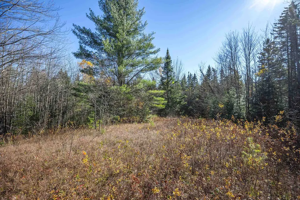 00 Ross Road Winhall VT 05340