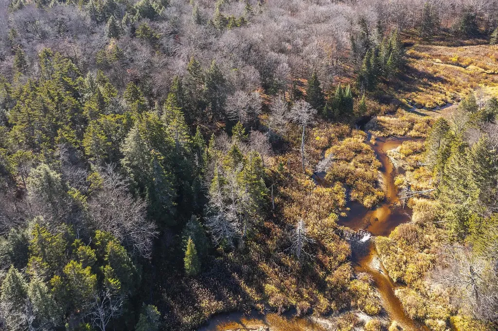 00 Ross Road Winhall VT 05340