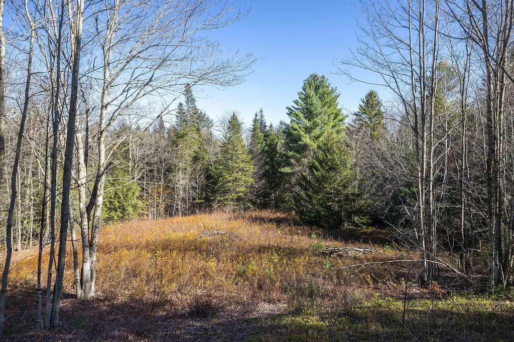 00 Ross Road Winhall VT 05340