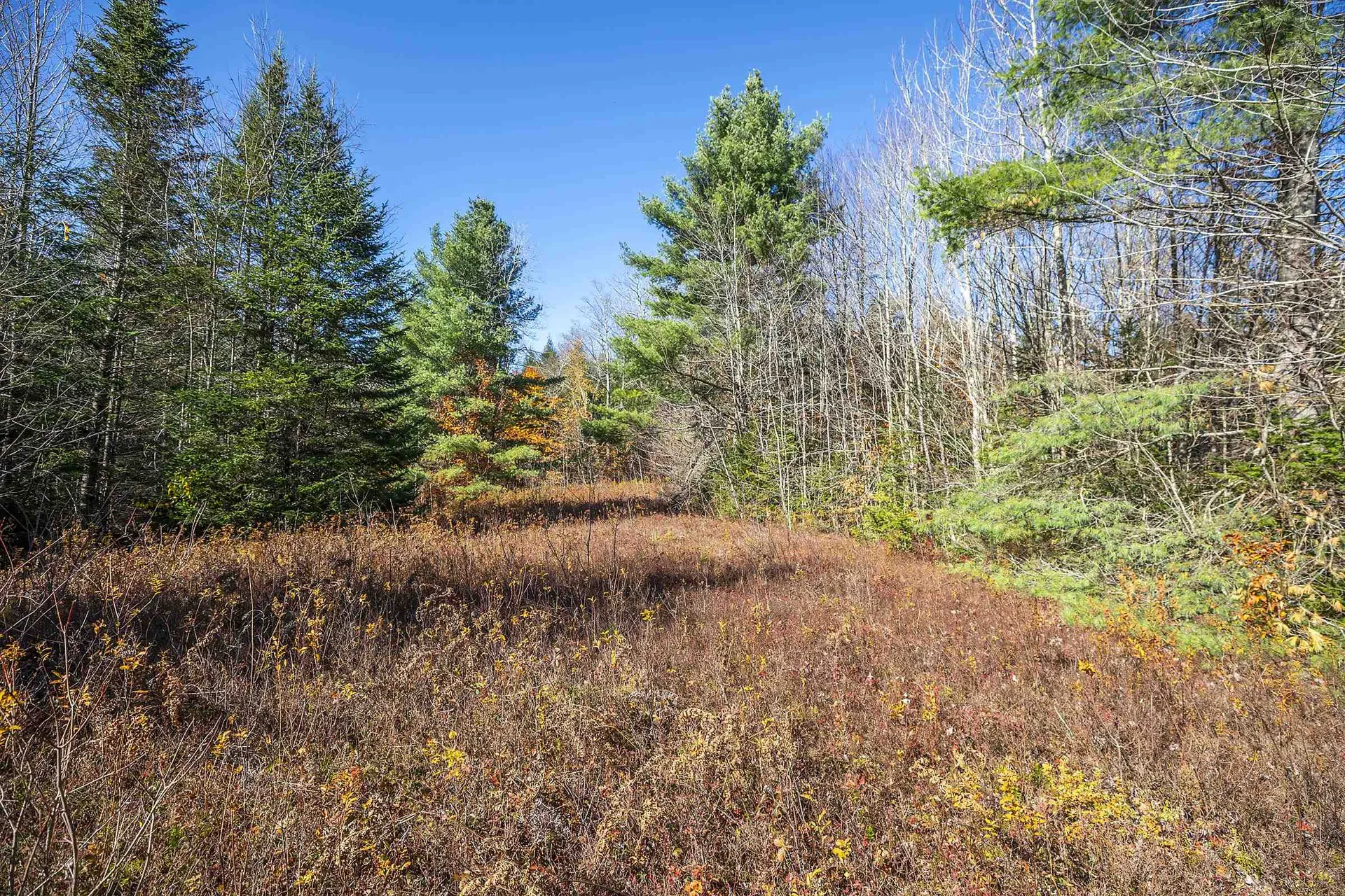 00 Ross Road Winhall VT 05340