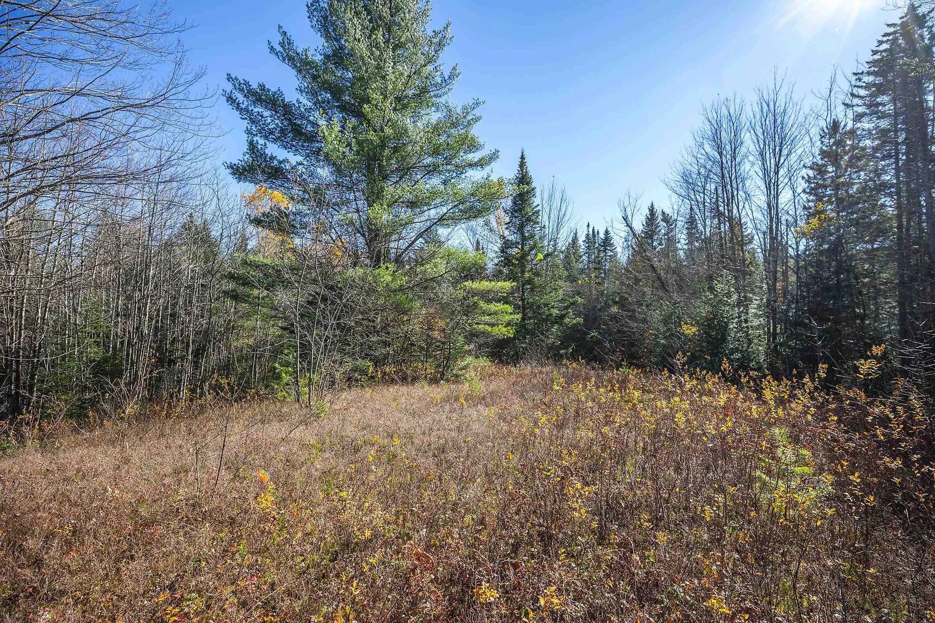 00 Ross Road Winhall VT 05340