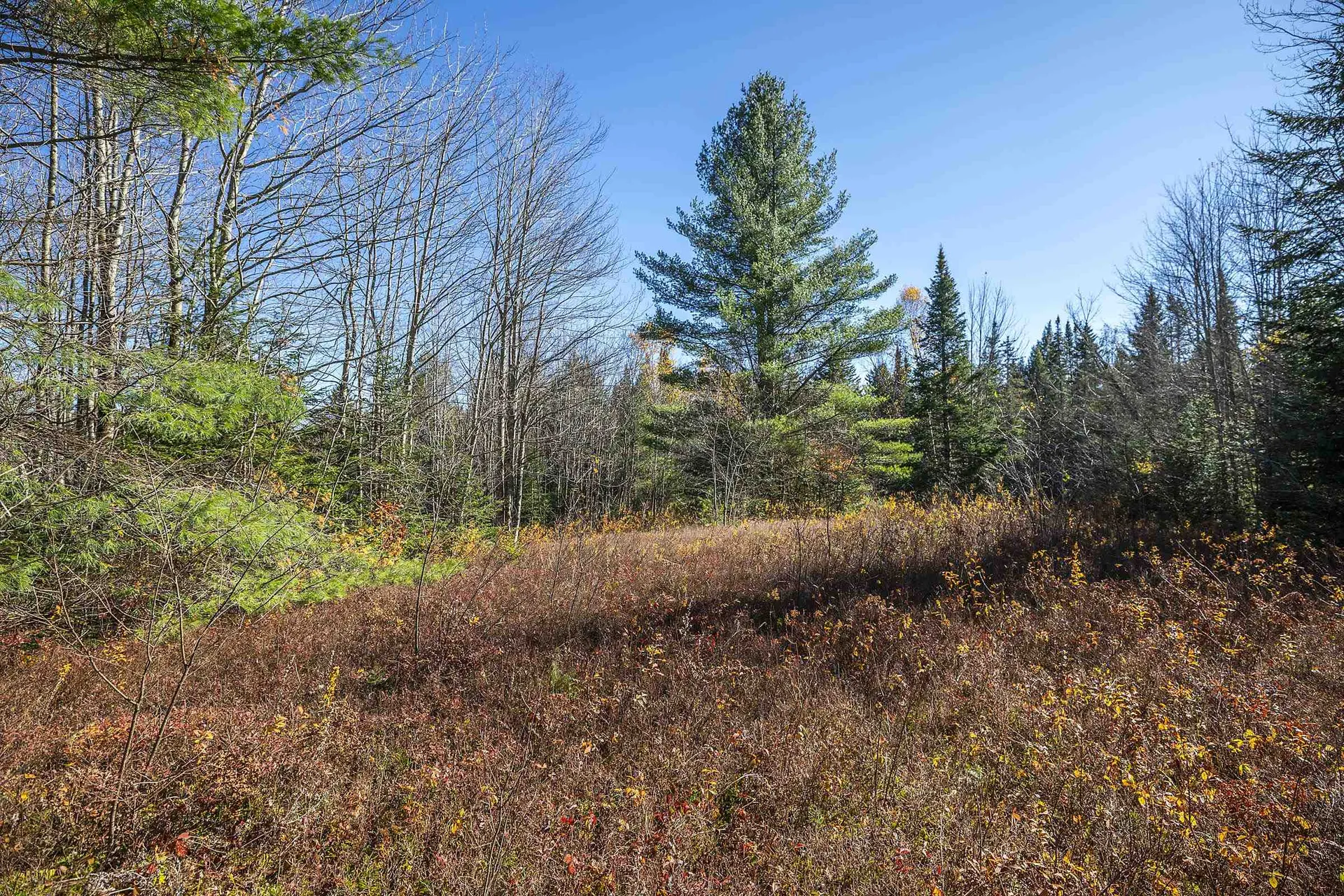 00 Ross Road Winhall VT 05340