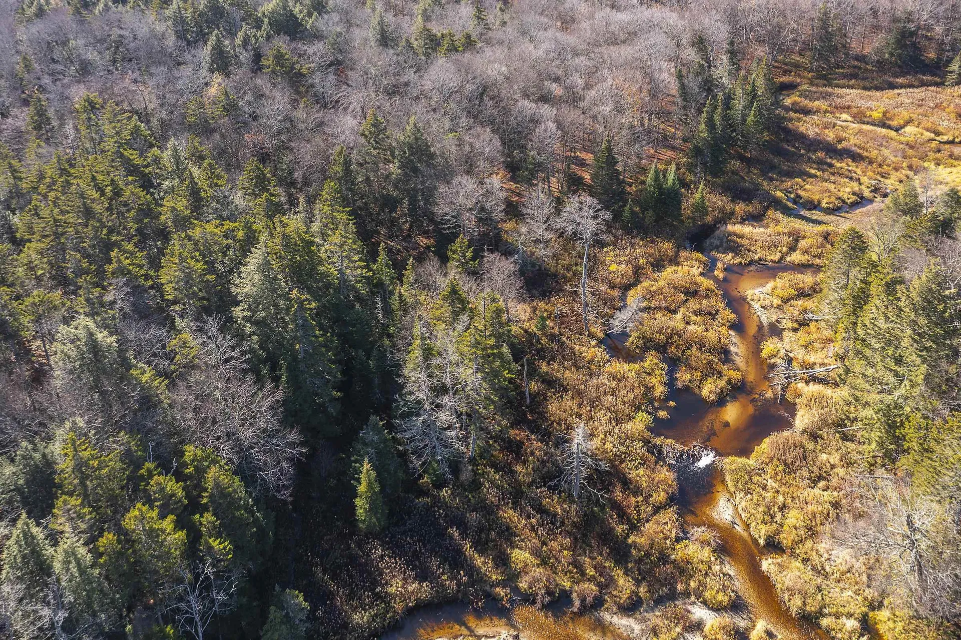 00 Ross Road Winhall VT 05340