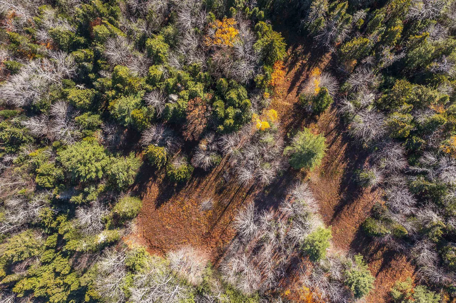 00 Ross Road Winhall VT 05340