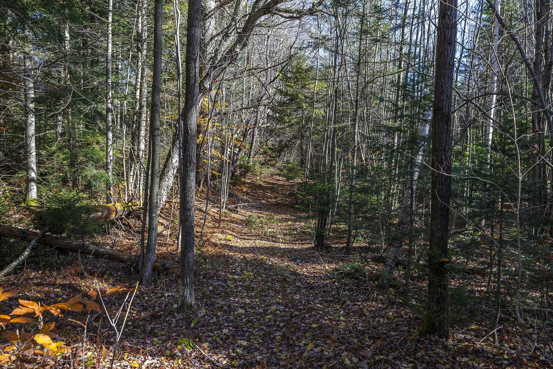 00 Ross Road Winhall VT 05340