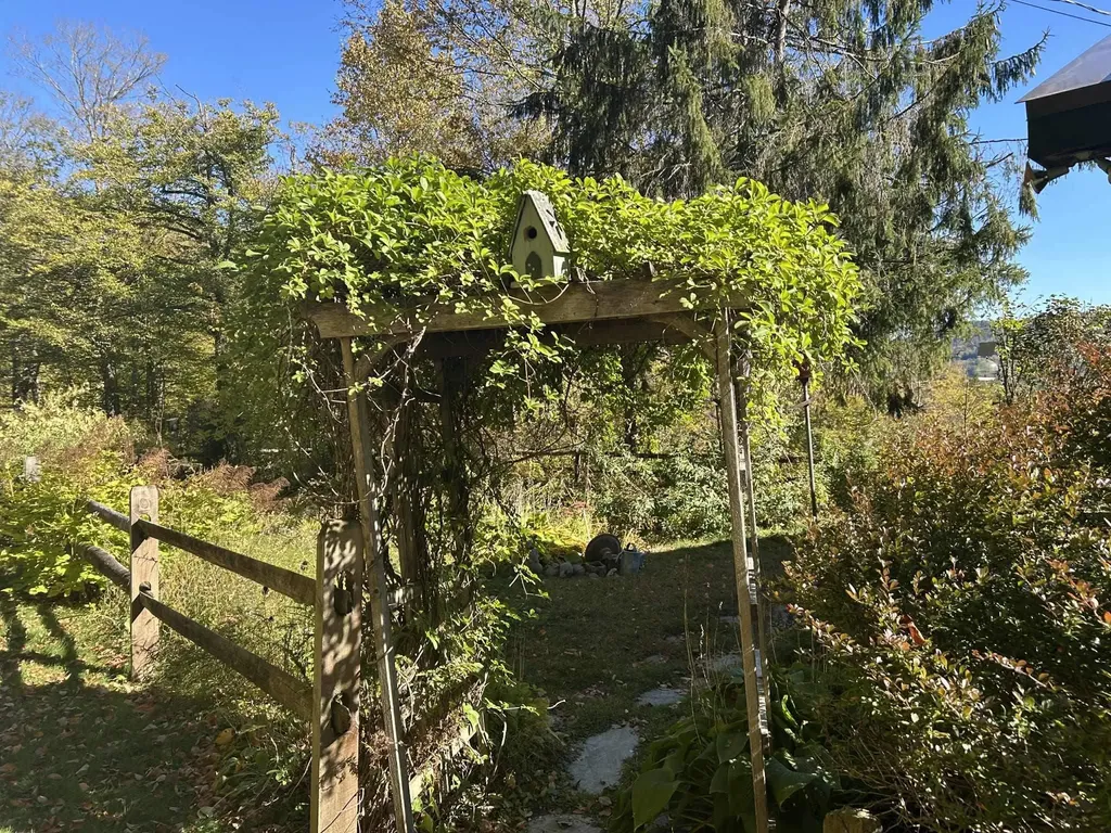 383 Brookline Road Townshend VT 05353