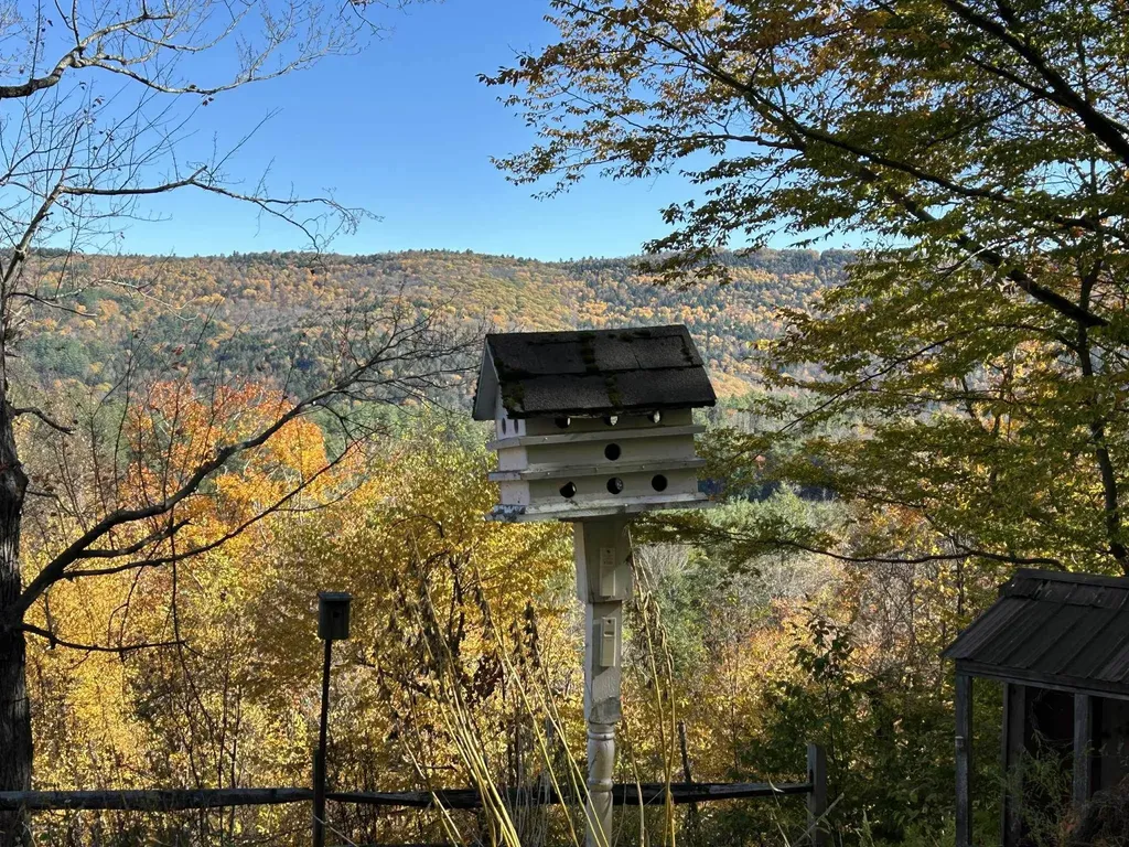 383 Brookline Road Townshend VT 05353