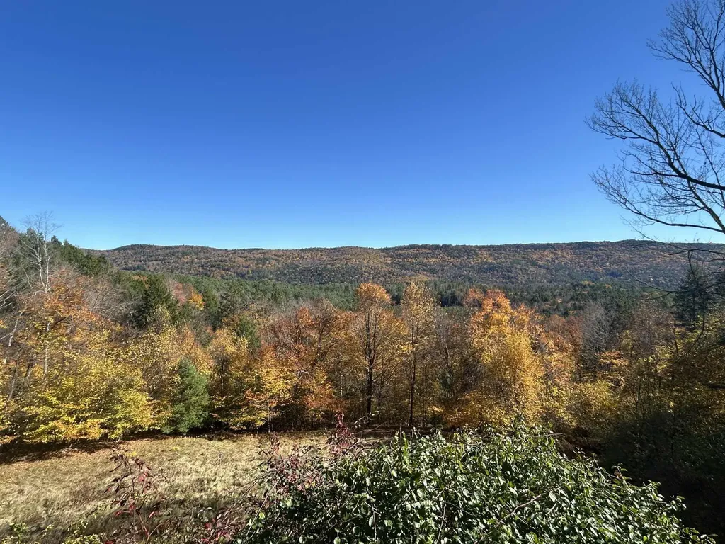 383 Brookline Road Townshend VT 05353