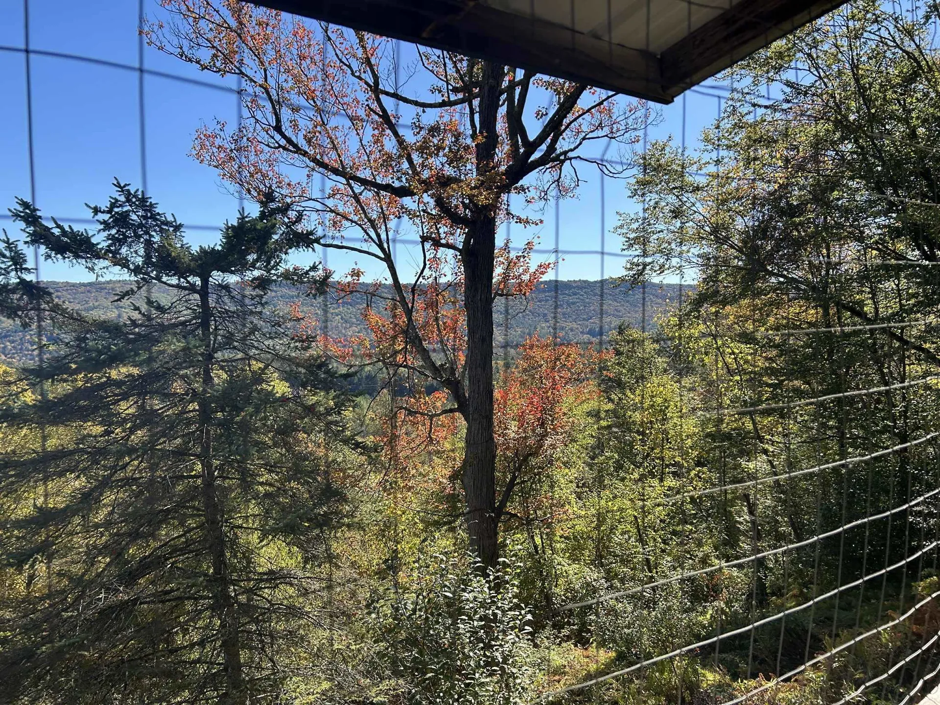 383 Brookline Road Townshend VT 05353