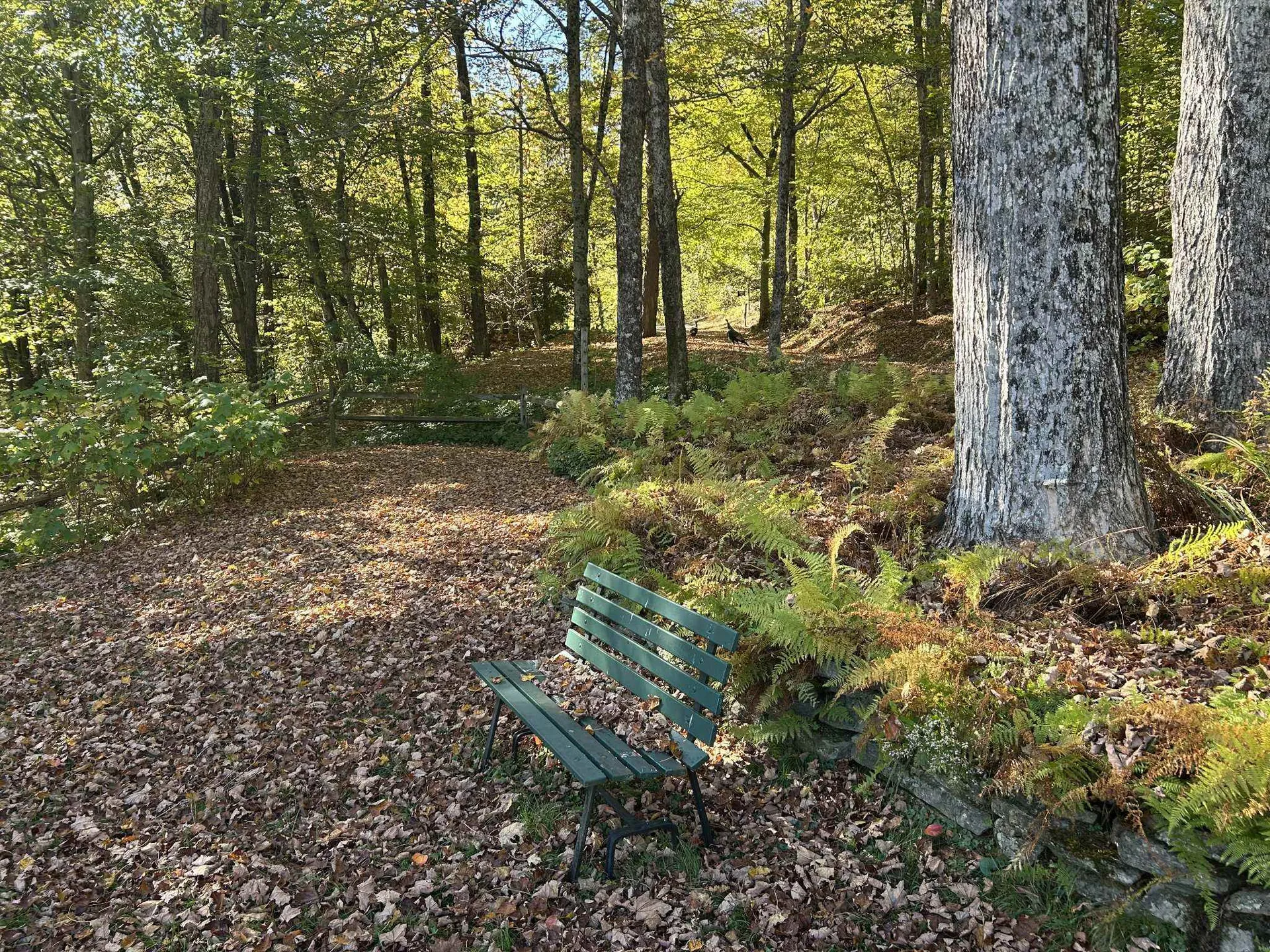 383 Brookline Road Townshend VT 05353